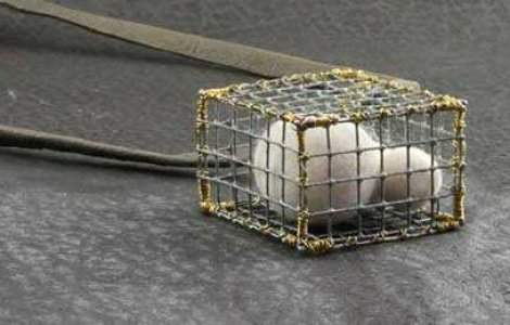 Ultima moda: Bijuterii din par de pisica