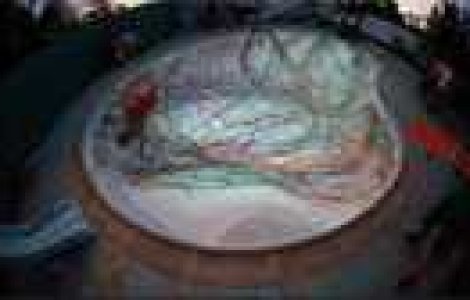 Uite asa poti sa DESENEZI cu un skateboard