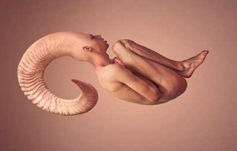  Top  Metamorfoza Umana: 8 Poze cu subinteles