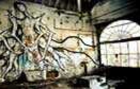  Top  Arta stradala Spectaculoasa