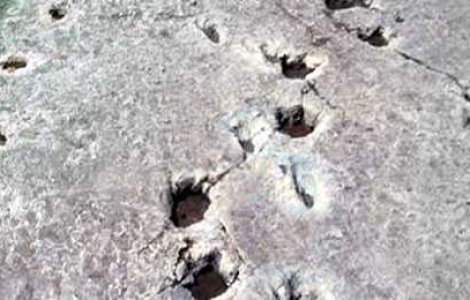 TOP Sase Enigme ale Stiintei