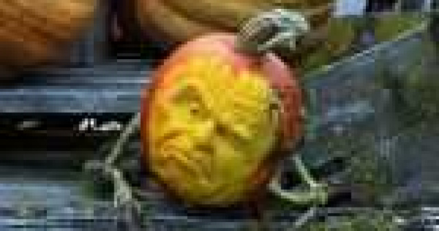  Top  Uimitor: Sculpturi in dovleci hyper-realiste