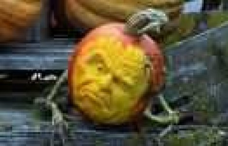  Top  Uimitor: Sculpturi in dovleci hyper-realiste