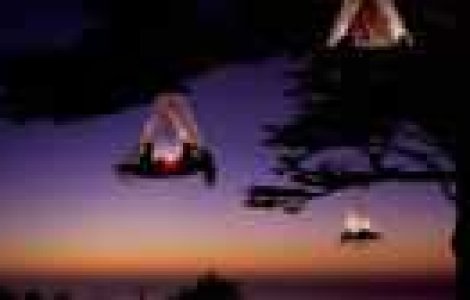 Iti place sa dormi la cort? Agata-l in copac!