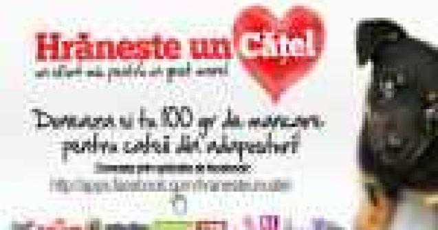 Hranste un catel! Campanie de ajutorare a cateilor din adaposturi