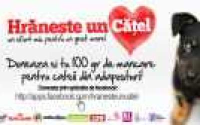 Hranste un catel! Campanie de...