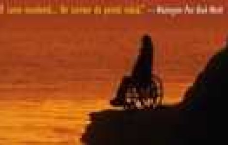 Prietena Diavolului - un roman de Peter Robinson