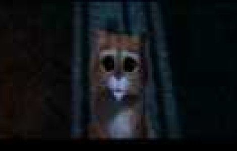 Nu rata astazi Puss in Boots