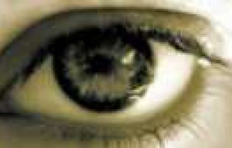 Inainte sa adorm - cel mai bun roman de debut