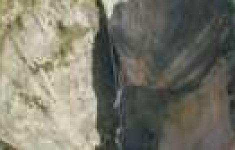 Nebunie sau pasiune: omul care sfideaza moartea