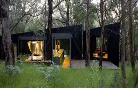  Top  Arhitectura prin natura: casa care se confunda in padure