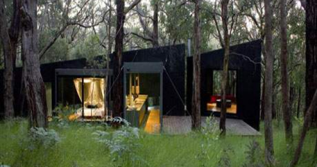  Top  Arhitectura prin natura: casa care se confunda in padure