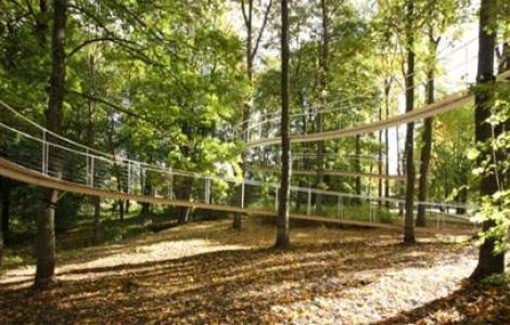  Top  Incurcate sunt caile omului: 'parcul suspendat' din Tallinn
