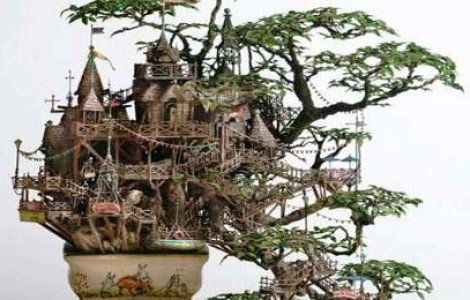  Top  Casuta din Bonsai: o lume in miniatura