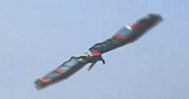 Visul omenirii implinit: omul care zboara ca o pasare