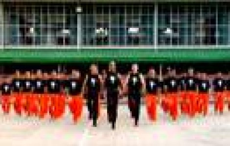  Top  7 exemple de flash mob-uri reusite