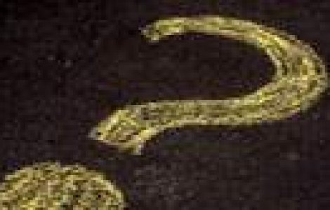 Cati oameni incap intr-un autobuz?