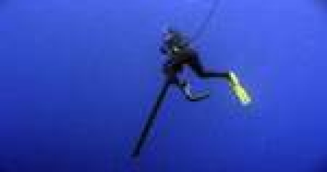 Video uimitor: Vanatoarea subacvatica