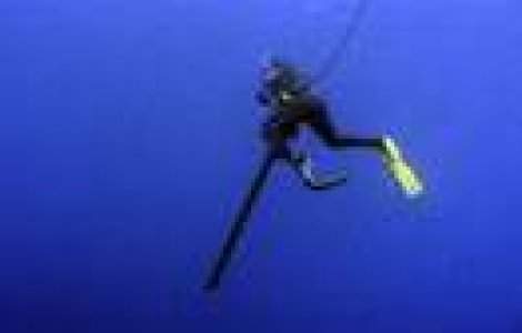 Video uimitor: Vanatoarea subacvatica