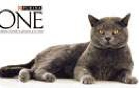 (P) Cu noua formula Purina ONE frumusetea si sanatatea merg mana in mana