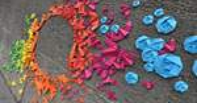 Un curcubeu din origami