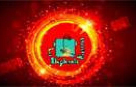 Single nou: Les Elephants Bizarres