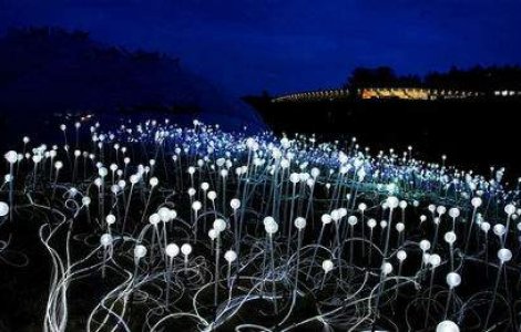 Uimitoarele gradini de lumini