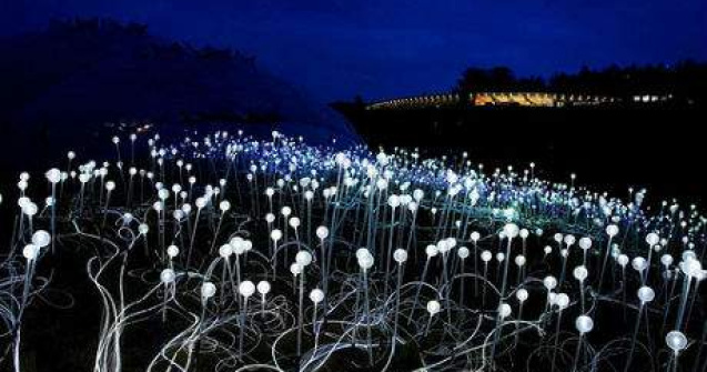 Uimitoarele gradini de lumini