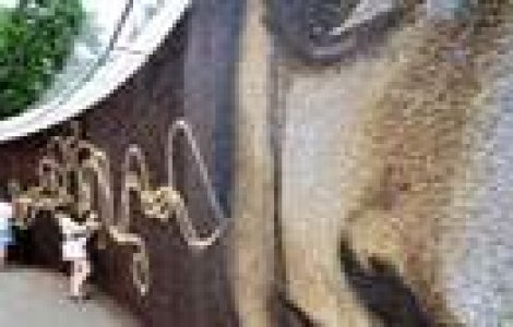 Arta dintr-un milion de boabe de cafea