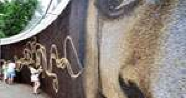 Arta dintr-un milion de boabe de cafea