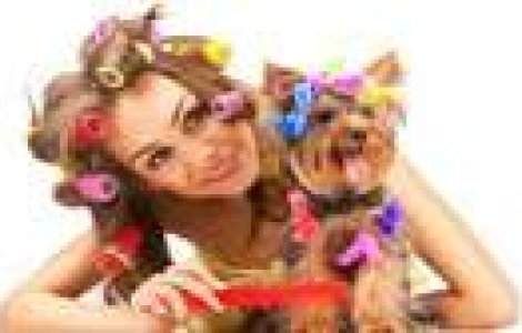 Cele mai stupide fotografii de pe Facebook