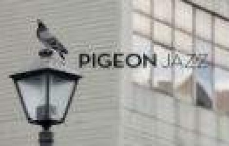 Cum sa promovezi un festival de jaz folosind...porumbei