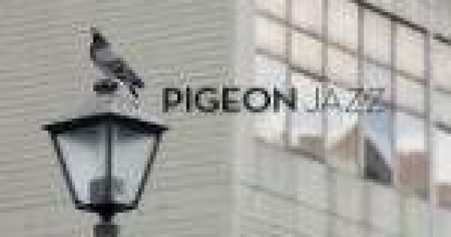 Cum sa promovezi un festival de jaz folosind...porumbei