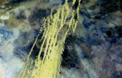  Top  Uita-te de doua ori! 20 de imagini care te vor surprinde