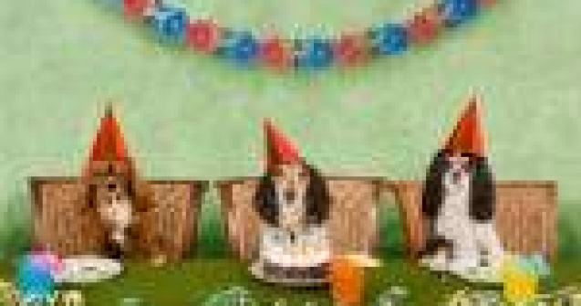  Top  TOP 10 cele mai amuzante clipuri ale momentului