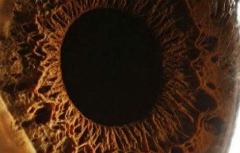 Cele mai neobisnuite fotografii cu ochiul uman!