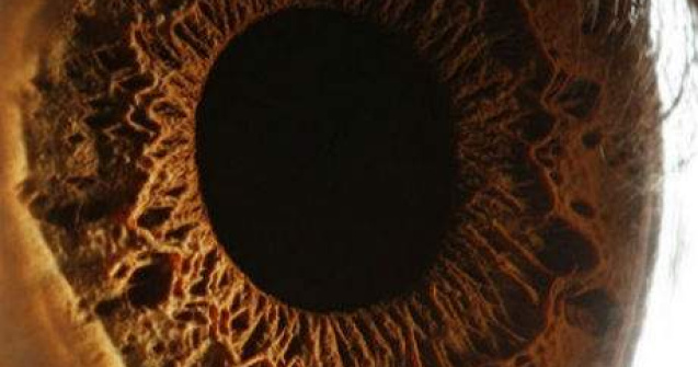 Cele mai neobisnuite fotografii cu ochiul uman!