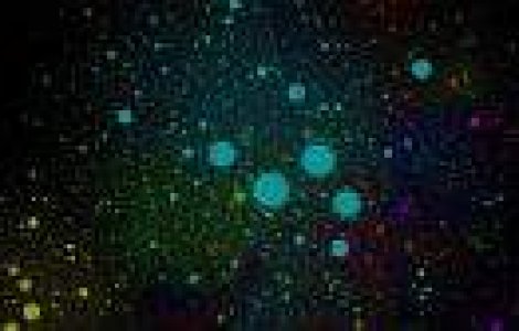 Cum arata internetul. Imaginea care cuprinde 350.000 de site-uri