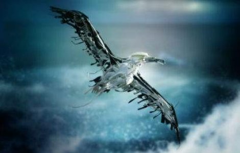 Gunoiul tau, arta ei: 12 sculpturi incredibile din obiecte aruncate