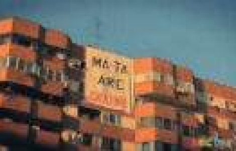 Ma-ta are cratima! Videclipul care te invata sa injuri corect