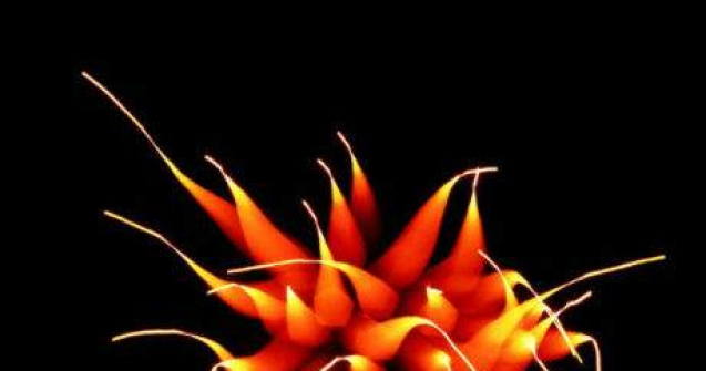 Artificii mai cu mot: 15 imagini captivante