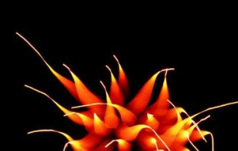 Artificii mai cu mot: 15 imagini captivante