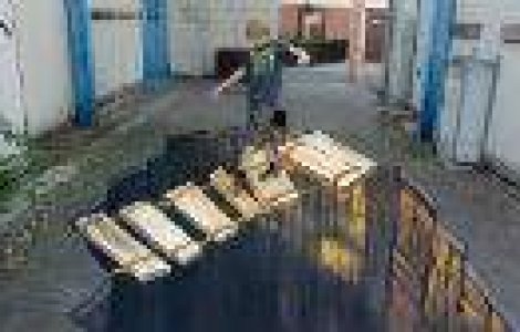 Cand strazile prind viata: 5 desene pe asfalt 3D