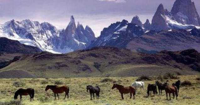 Top  Minunata Lume Noua in 30 de imagini captivante