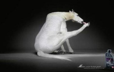 Sa ne amuzam! 30 de reclame hilare