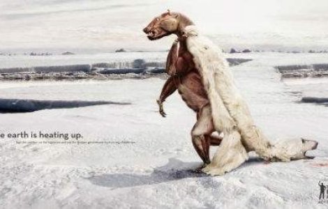 TOP 20 de reclame sociale aflate la marginea grotescului