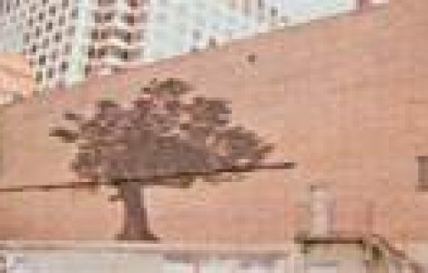 Aceasta este pictura care apare doar atunci cand ploua