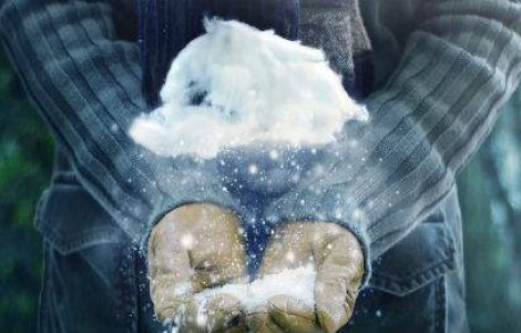 Nor in miniatura: probabil cea mai fermecatoare iluzie optica