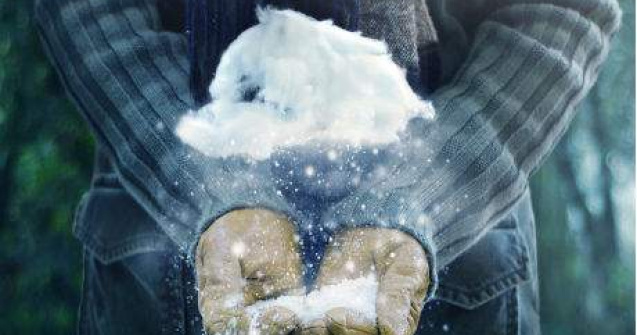 Nor in miniatura: probabil cea mai fermecatoare iluzie optica