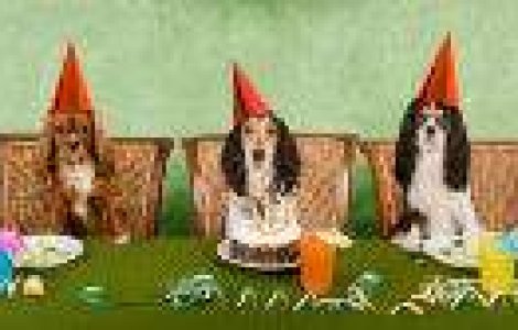  Top  10 idei de cadouri funny pentru Andrei